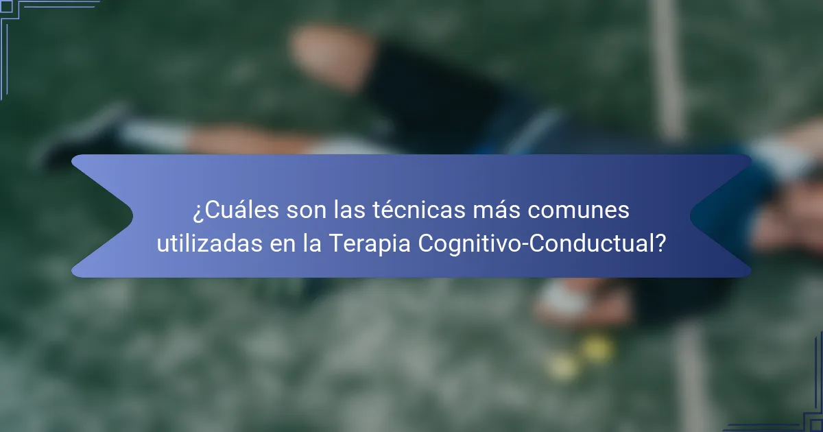 ¿Cuáles son las técnicas más comunes utilizadas en la Terapia Cognitivo-Conductual?