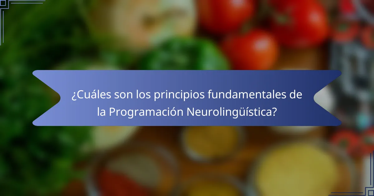 ¿Cuáles son los principios fundamentales de la Programación Neurolingüística?