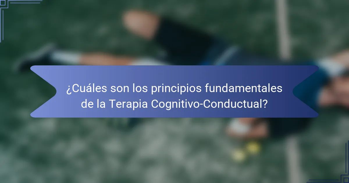 ¿Cuáles son los principios fundamentales de la Terapia Cognitivo-Conductual?