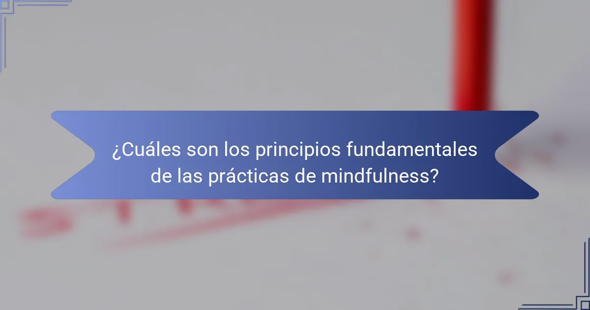 ¿Cuáles son los principios fundamentales de las prácticas de mindfulness?