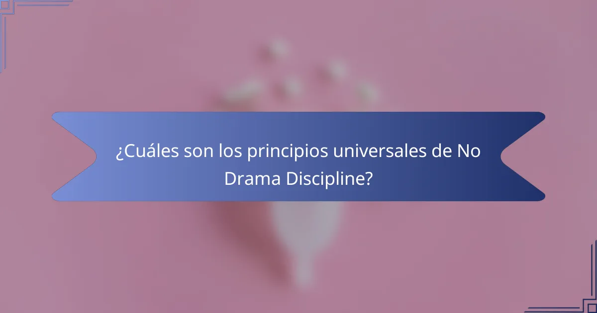 ¿Cuáles son los principios universales de No Drama Discipline?